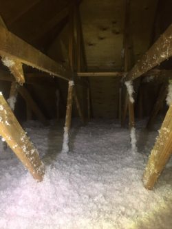 Insulation Contractor